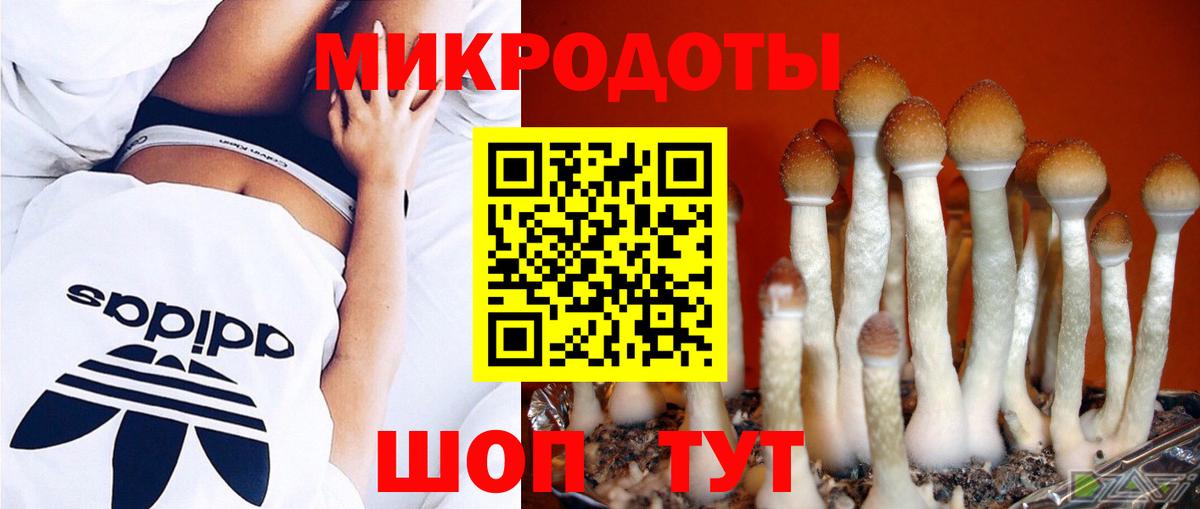 Псилоцибиновые грибы Psilocybe  Вход с VPN  Полевской 